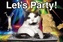 Party Lets Party GIF - Party Lets Party Dj GIFs