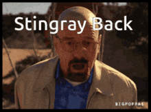 Stingray GIF - Stingray GIFs