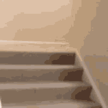 Puppy Cute GIF - Puppy Cute Stairs GIFs