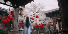 Ashes Of Love Yang Zi GIF - Ashes Of Love Yang Zi Jinmi GIFs