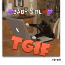 Tgif Cat GIF - Tgif Cat GIFs
