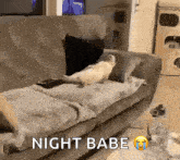 Cat Rest Lazy Laying Bed GIF - Cat Rest Lazy Laying Bed GIFs