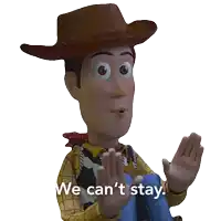 woody from toy story says we can t stay