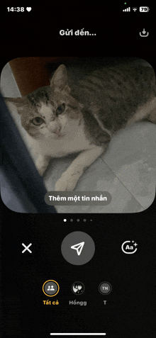 a phone screen shows a cat laying on the floor with the time 14:38