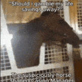a horse in a cage with the words " should i gamble my life savings away "