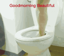 Good Morning Beautiful GIF - Good Morning Beautiful Rose GIFs