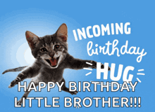 a birthday card with a cat and the words incoming birthday hug happy birthday little brother !!!