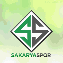 Sakaryaspor Sakarya GIF - Sakaryaspor Sakarya Spor GIFs