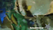 a painting of a fish in a tank with the words hnsamona below it