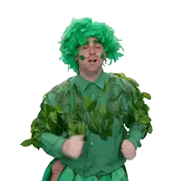 a man wearing a green wig and green leaves on his shirt