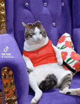 a cat wearing sunglasses and a red shirt is sitting on a purple chair with a pillow