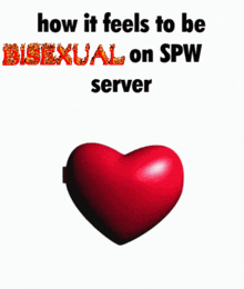 a picture of pinkie pie in a heart shaped mirror with the words " how it feels to be bisexual on spw server "