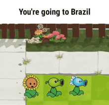 Aa Youre Going To Brazil GIF - Aa Youre Going To Brazil Plants GIFs