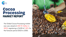 Cocoa Processsing Market Report 2023 Marketresearch GIF - Cocoa Processsing Market Report 2023 Marketresearch Marketresearchreport GIFs