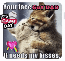 two kittens hugging each other with the caption " your face gay dad it needs my kisses " on the bottom