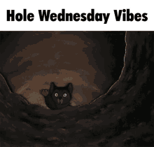 Hole Wednesday Wednesday GIF - Hole Wednesday Wednesday Hole GIFs