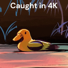 Caught In 4k We Love Cold War GIF - Caught In 4k We Love Cold War Duck GIFs