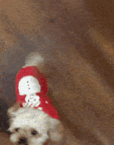 a small dog wearing a red sweater with a snowman on it