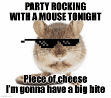 Party Rocking With A Mouse Tonight GIF - Party Rocking With A Mouse Tonight GIFs