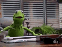 Muppets Kermit GIF - Muppets Kermit Uh Oh GIFs