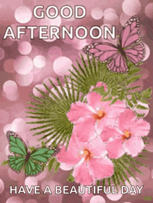a picture of pink flowers and butterflies with the words `` good afternoon have a beautiful day ''