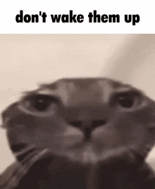 Don'T Wake Them Up GIF - Don'T Wake Them Up GIFs
