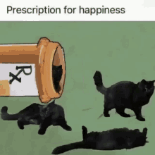 Animation Cats GIF - Animation Cats Happiness GIFs