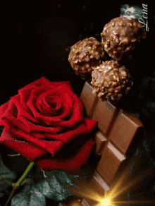 Love Red Rose GIF - Love Red Rose Flower GIFs