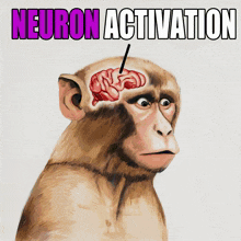 Ifbz Neuron Activation GIF - Ifbz Neuron Activation Neuron GIFs