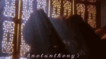 Knotanthony Ant Supremacy GIF - Knotanthony Ant Supremacy Knotanthony Supremacy GIFs
