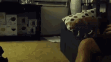 Set For Take Off GIF - Puppy Dog Jump GIFs
