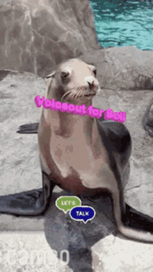 Seal Sea Life GIF - Seal Sea Life Save Soil GIFs