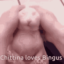 Chit Chittina GIF - Chit Chittina Chit Bingus GIFs