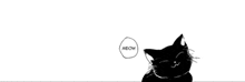 Cat Anime GIF - Cat Anime GIFs