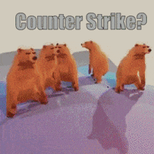 Csgo Counter Strike GIF