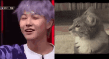 Renjun Cat GIF - Renjun Cat Renjun Kity GIFs
