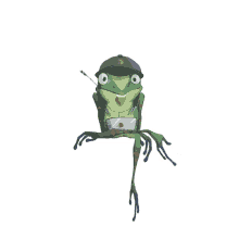 records frog