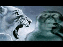 a drawing of a lion and a monkey with their mouths wide open