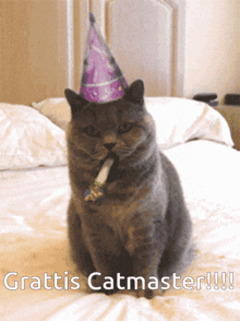 Grattis Catmaster Catmaster Från Stamsites Gaming Community GIF