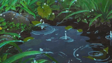 Raindrops Pond GIF - Raindrops Pond Animation GIFs
