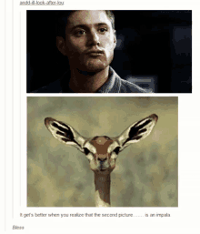dean winchester funny eating impala