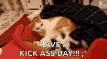 Have A Kick Ass Day Cats GIF - Have A Kick Ass Day Cats GIFs