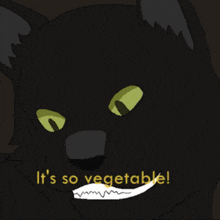 a drawing of a black cat with yellow eyes and the words it 's so vegetable below it