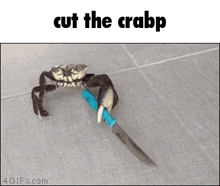 Crabp Cut The Crabp GIF