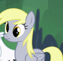 My Little Pony Mlp GIF - My Little Pony Mlp Derpy GIFs