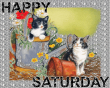 Happy Saturday GIF - Happy Saturday GIFs