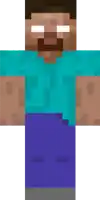 a pixel art of a minecraft character , steve , with a blue shirt and blue pants .