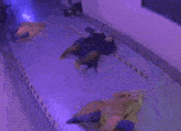 a group of people are laying on the floor in a room with a blue light behind them