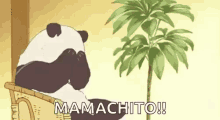 Panda Anime GIF - Panda Anime Cute GIFs
