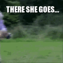 There She Goes Dog GIF - There She Goes Dog Fetch GIFs